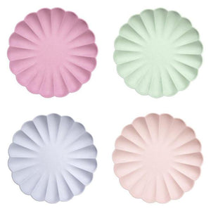 Multicolour Eco Large Plates (8 pack)