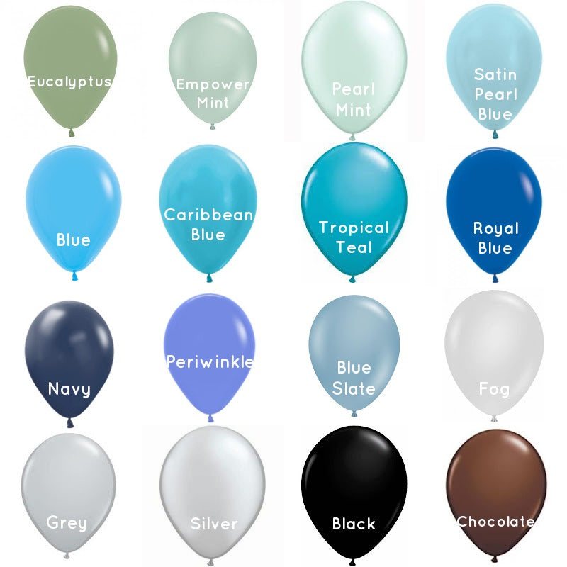 Standard 28cm Balloons (5 pack)