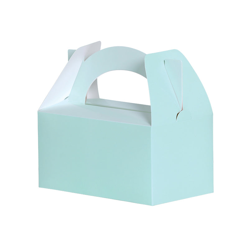 Mint Green Lunch Boxes (5 pack)