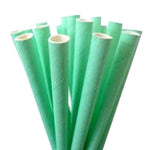 Mint Green Straws (25 pack)